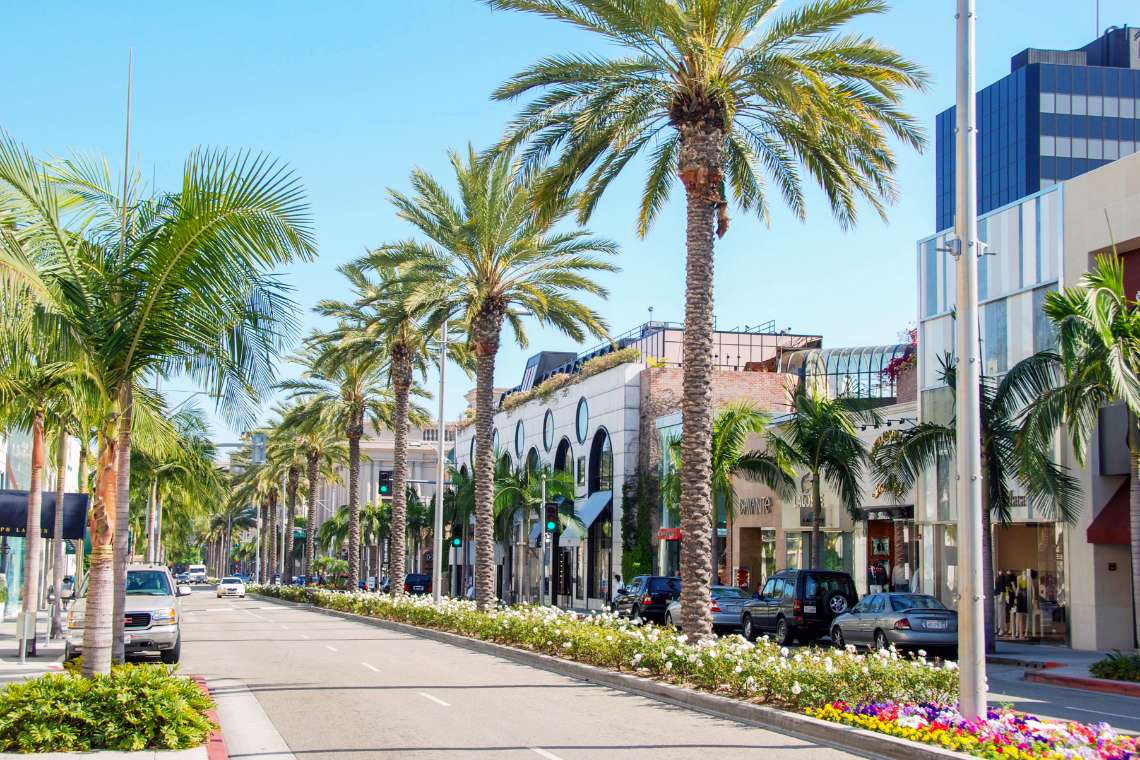 High end shopping street lined with palm trees